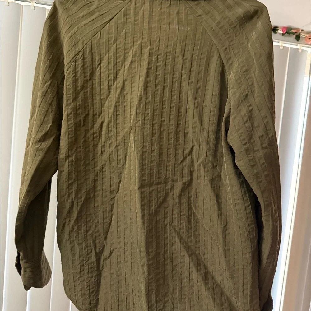 Everlane The City Stripe Shirt in Beech Olive Green Sz 6 Viscose Stripe Button - Picture 6 of 6